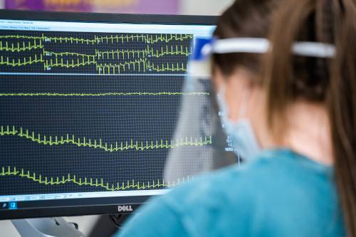 Student reviewing electrocardiogram signal (ECG) on computer screen